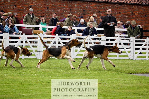 Hurworth Puppy Show 044