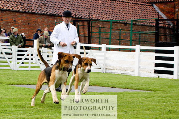 Hurworth Puppy Show 049