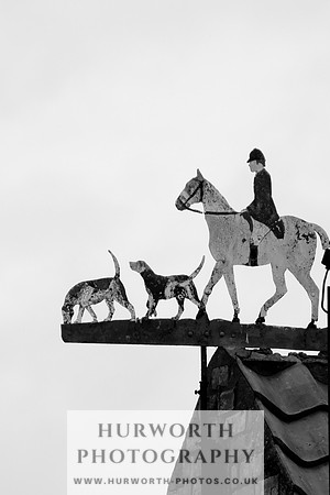 Hurworth Puppy Show 061