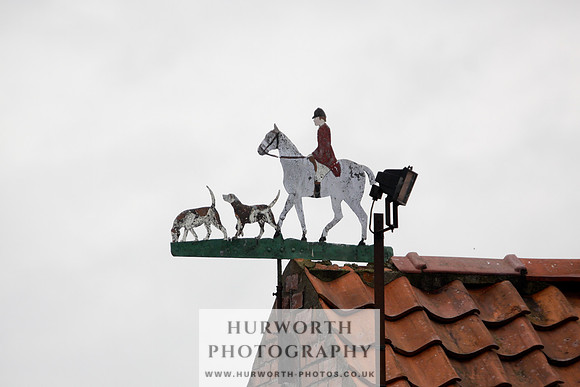 Hurworth Puppy Show 062
