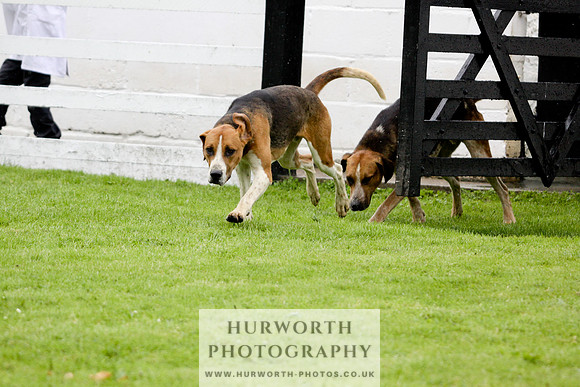 Hurworth Puppy Show 064