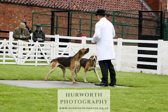 Hurworth Puppy Show 069