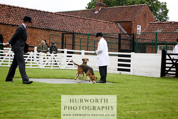 Hurworth Puppy Show 070