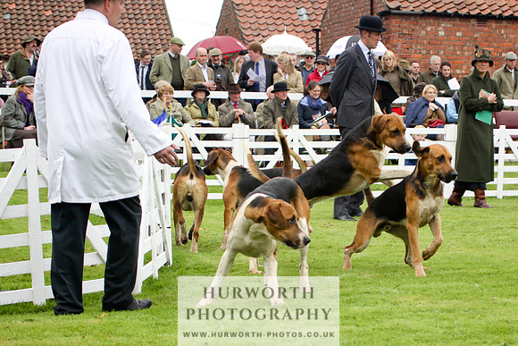 Hurworth Puppy Show 072