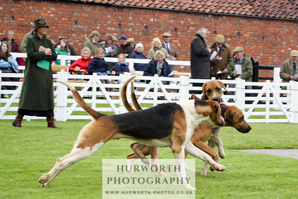 Hurworth Puppy Show 074