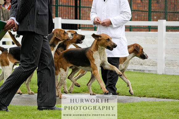 Hurworth Puppy Show 078