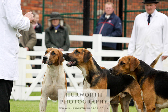 Hurworth Puppy Show 089