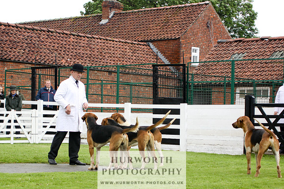 Hurworth Puppy Show 097