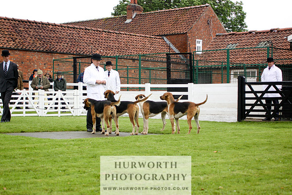 Hurworth Puppy Show 098