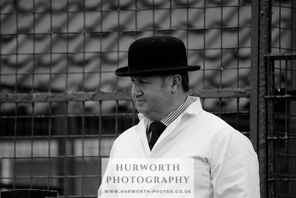 Hurworth Puppy Show 104