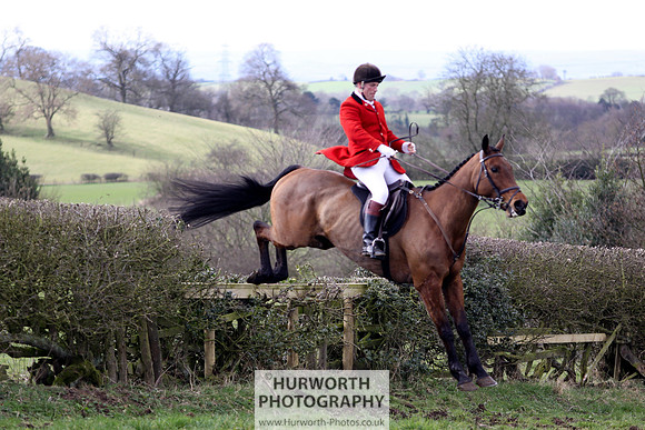 Hurworth Hunt 054
