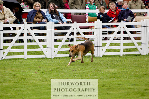 Hurworth Puppy Show 130