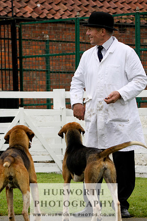 Hurworth Puppy Show 151