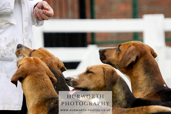 Hurworth Puppy Show 157