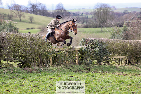 Hurworth Hunt 093