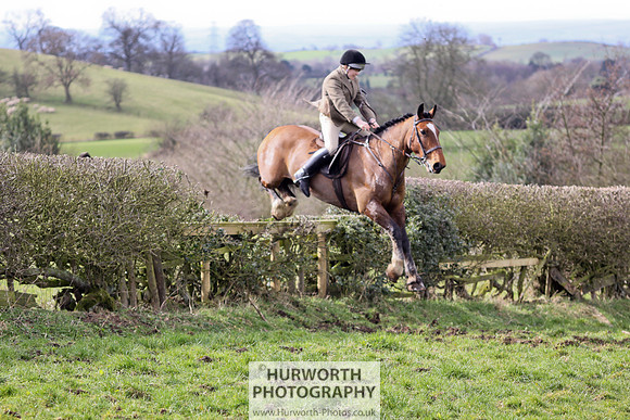 Hurworth Hunt 094