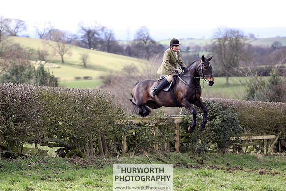 Hurworth Hunt 096