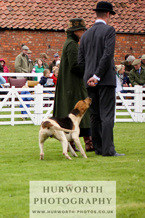 Hurworth Puppy Show 168