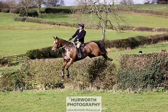 Hurworth Hunt 110