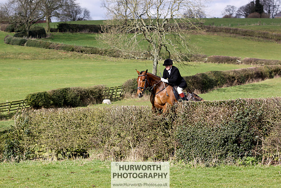 Hurworth Hunt 117