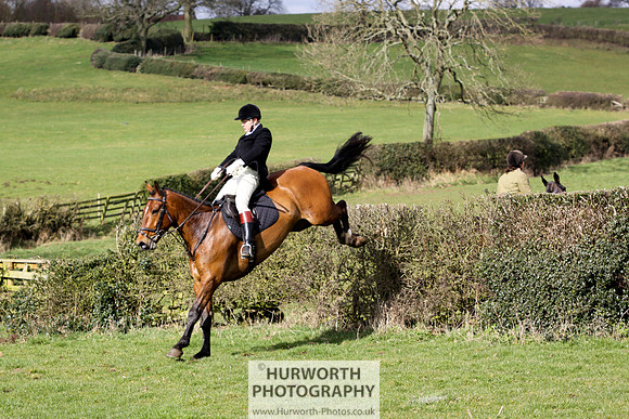 Hurworth Hunt 120