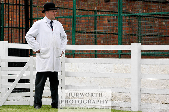 Hurworth Puppy Show 210