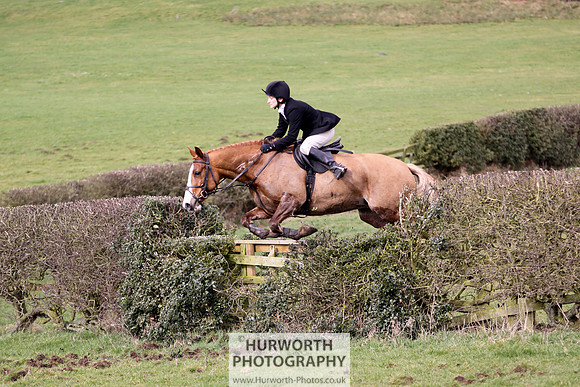 Hurworth Hunt 137