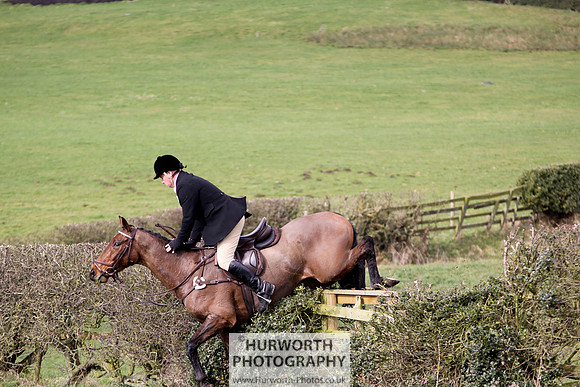 Hurworth Hunt 141