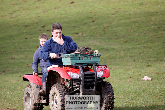 Hurworth Hunt 145