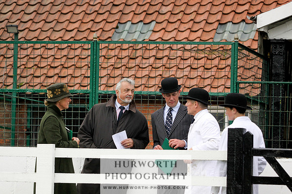 Hurworth Puppy Show 235