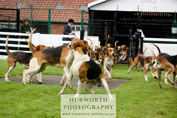 Hurworth Puppy Show 249