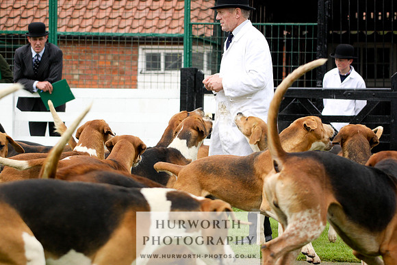 Hurworth Puppy Show 252