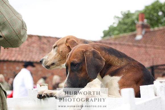Hurworth Puppy Show 255