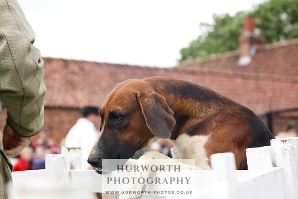 Hurworth Puppy Show 257