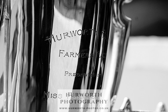 Hurworth Puppy Show 260