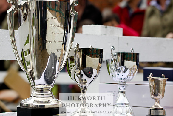Hurworth Puppy Show 261
