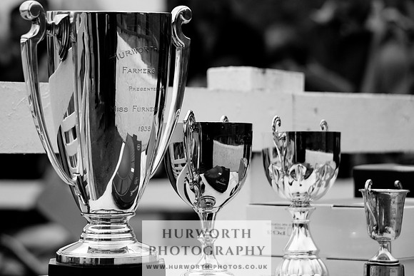 Hurworth Puppy Show 262