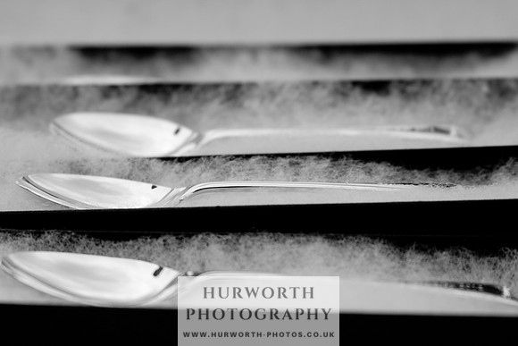 Hurworth Puppy Show 274