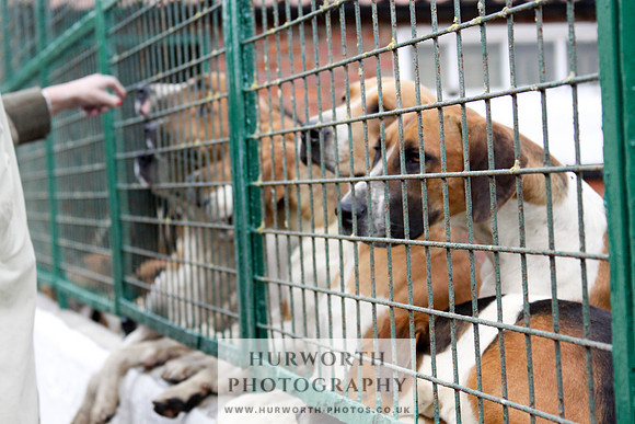 Hurworth Puppy Show 281