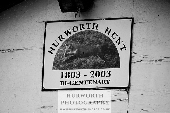 Hurworth Puppy Show 003