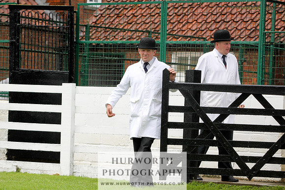 Hurworth Puppy Show 004