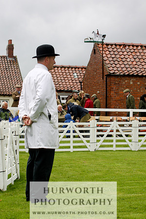 Hurworth Puppy Show 005