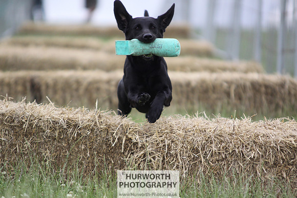 Raby Castle Game Fair 043