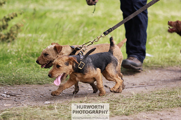 Raby Castle Game Fair 004