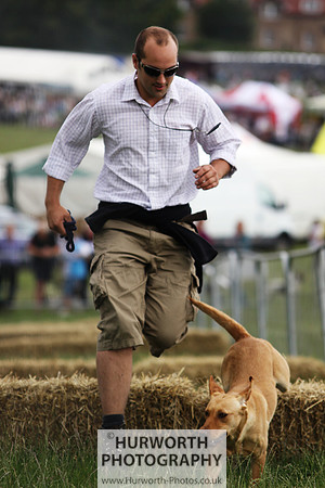 Raby Castle Game Fair 003