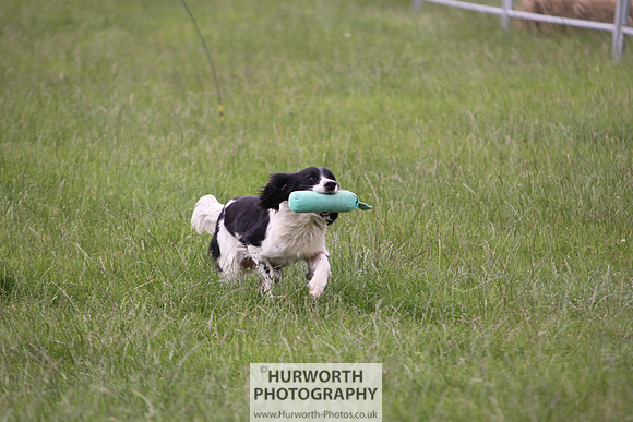 Raby Castle Game Fair 005