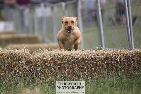 Raby Castle Game Fair 009