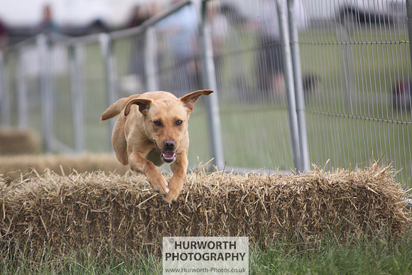 Raby Castle Game Fair 010