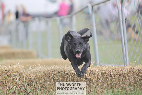 Raby Castle Game Fair 012