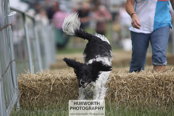 Raby Castle Game Fair 015